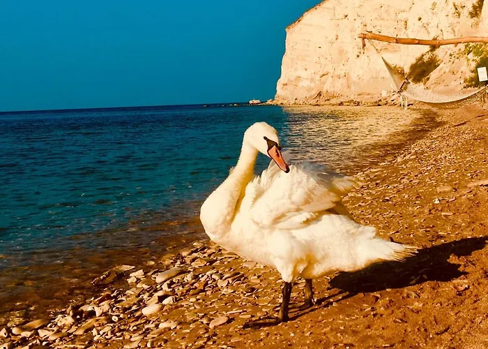 Thracian Cliffs Private Kavarna