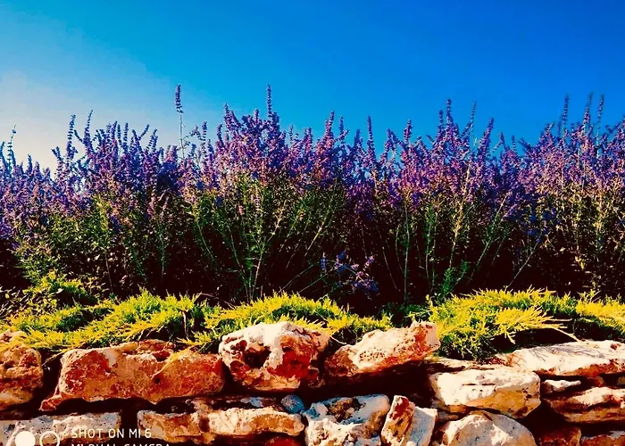 Thracian Cliffs Private Daire