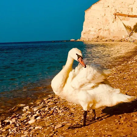 Thracian Cliffs Private 카바르나